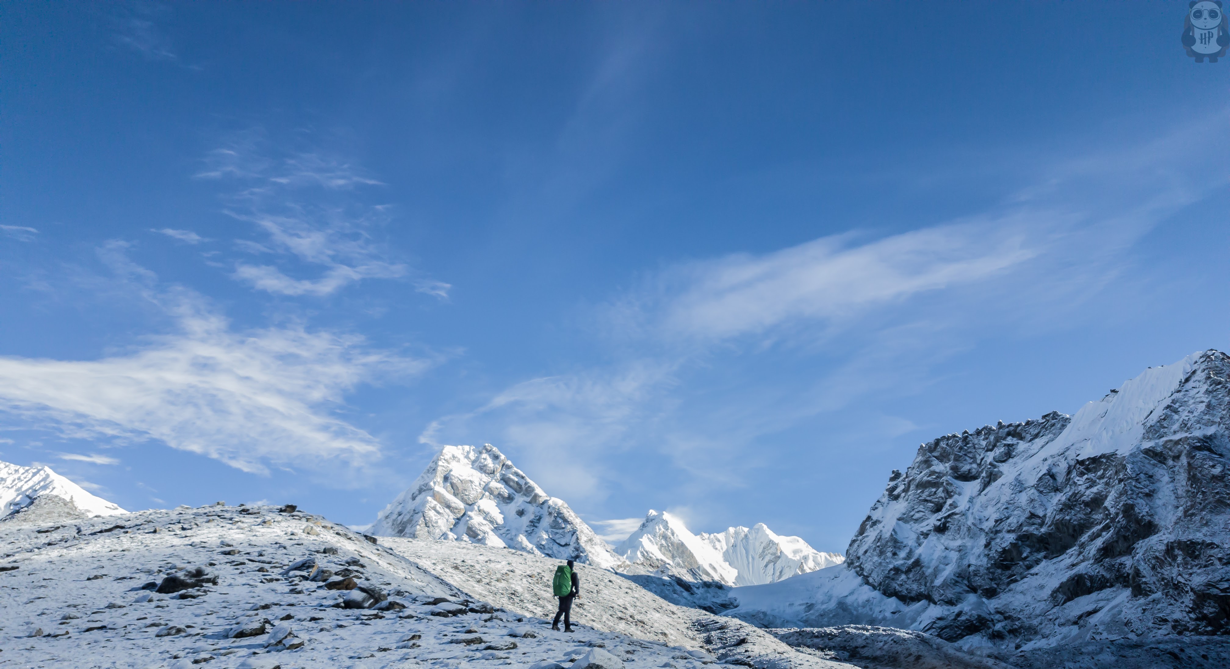 Summit Chronicles Newsletter